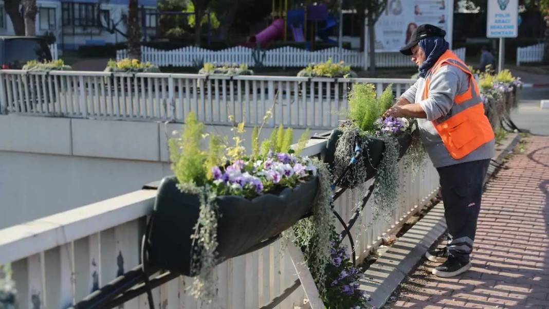 Antalya’ya Kış 4 Milyon Çiçekle Rengarenk Gelecek! 1